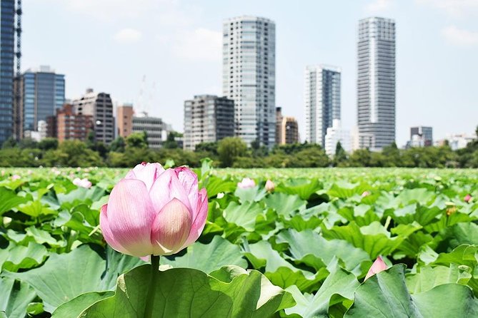 Tokyo Japanese Garden Lovers Private Tour With Government-Licensed Guide - Accessibility Information