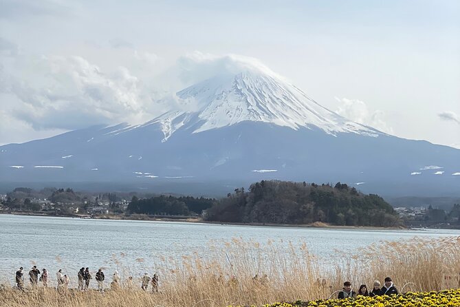 1 Day Fully Customized Tour to Mt Fuji With English & Hindi Speak - Cancellation Policy