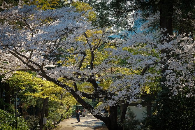 A Fun Day Out Discovering Kamakura - Common questions