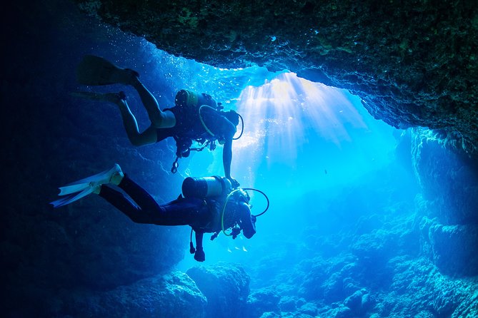 Blue Cave Experience Diving [Charter System / Boat Holding] | I Am Very Satisfied With the Beautiful Facilities of the Shop - Common questions