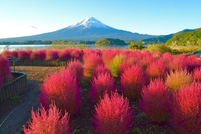 Full Day Tour to Mount Fuji in Spanish - Common questions