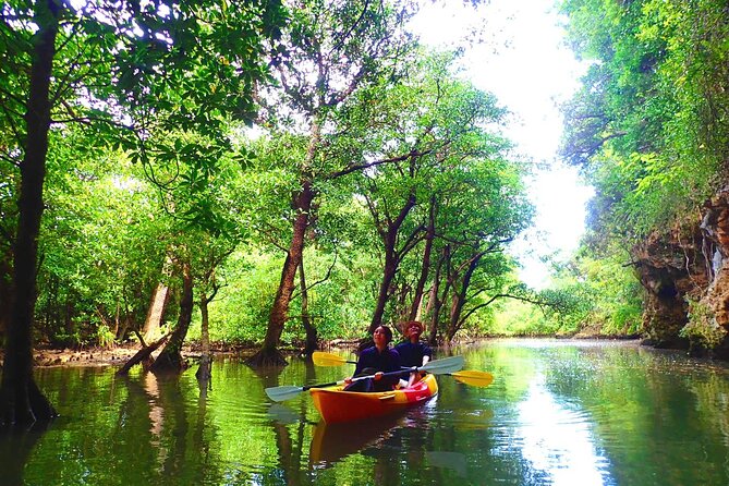 [Ishigaki]Mangrove SUP/Canoe + Blue Cave Snorkeling - Directions