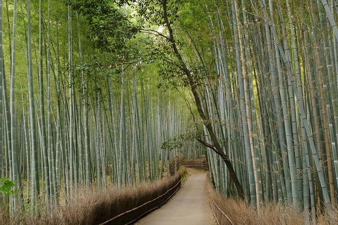 Kyoto Bamboo Forest Electric Bike Tour - Common questions