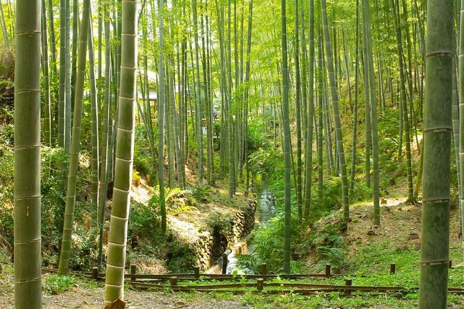 Kyoto : Immersive Arashiyama and Fushimi Inari by Private Vehicle - Booking and Pricing Information