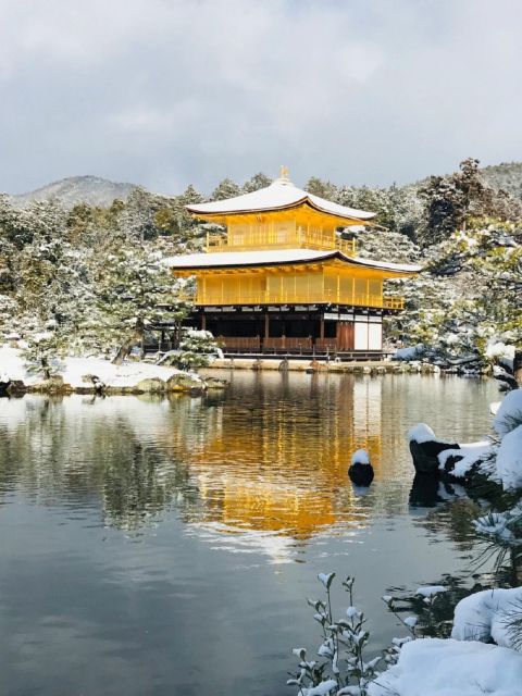 Kyoto:Kiyomizu-dera, Kinkakuji, Fushimi Inari 1-Day Tour - Reviews of the Kyoto Tour Experience