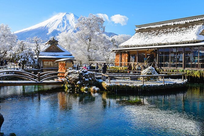 Mount Fuji & Hokane Lakes With English-Speaking Guide - Last Words
