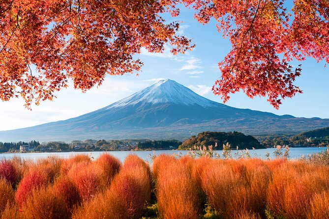 Mount Fuji Private Tour by Car - English Speaking Driver - Common questions