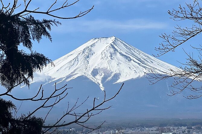 Mt. Fuji and Lake Kawaguchi Day Trip With English Speaking Driver - Common questions