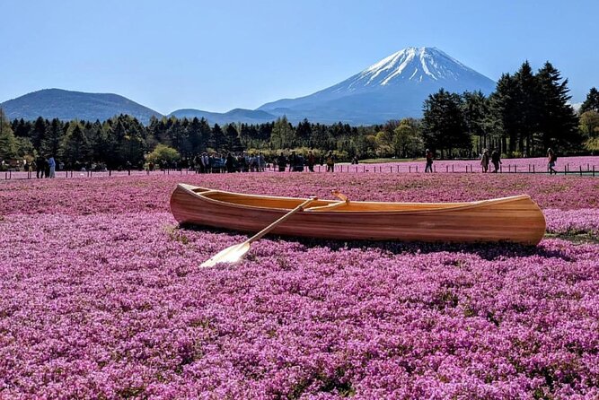 Mt Fuji, Hakone Private Tour by Car With Pickup - Traveler Experiences