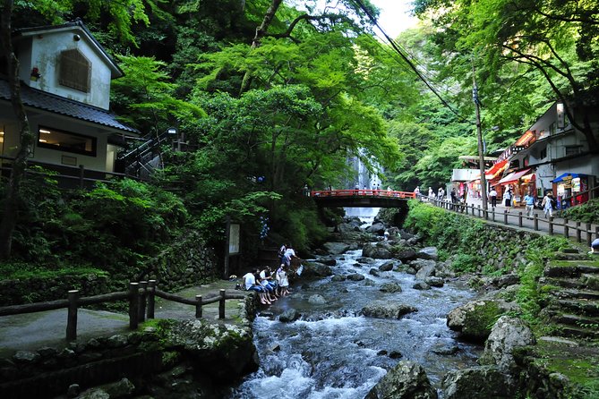 Nature Walk at Minoo Park, the Best Nature and Waterfall in Osaka - Customer Reviews and Feedback