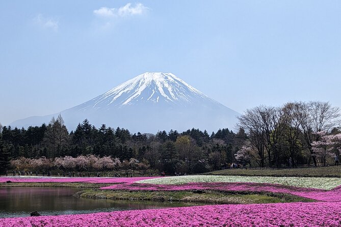 Private Car Mt Fuji and Gotemba Outlet in One Day From Tokyo - Last Words