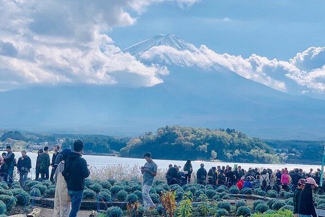 Private Guided Sightseeing Full Day Tour In Mt. Fuji And Hakone - Last Words