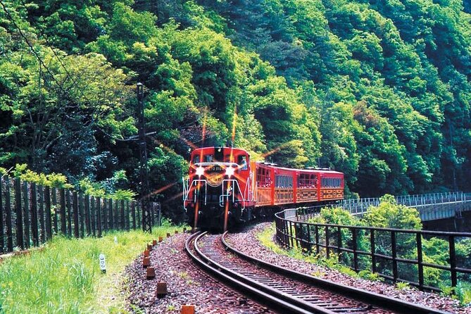 Sagano Romantic Train & Arashiyama, Kiyomizudera, Fushimi Inari Taisha Day Tour - Last Words