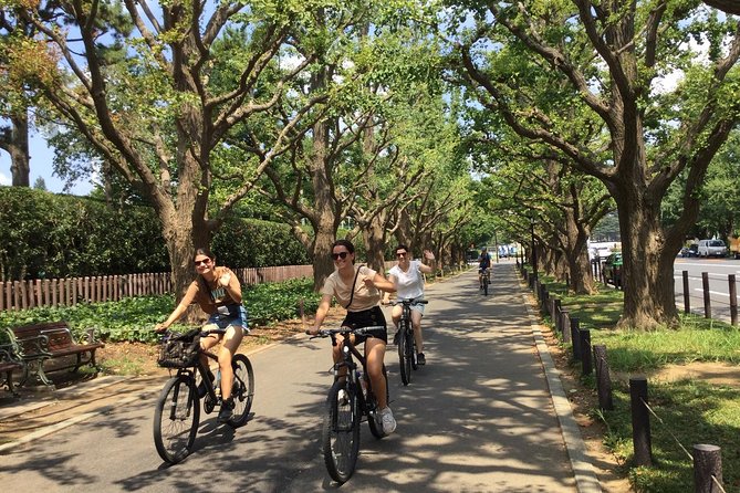 Small Group Cycling Tour in Tokyo - Safety Aspects Appreciated