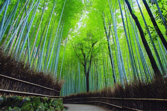 Arashiyama & Yasaka Shrine & Nara & Todaiji Day Trip From Osaka - Booking and Tour Experience