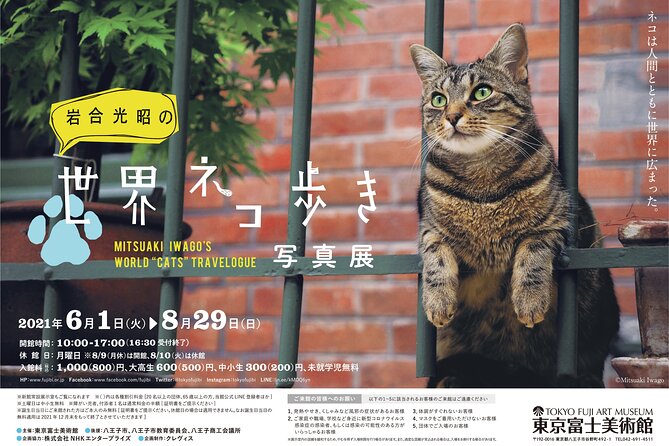 Tokyo Fuji Art Museum Admission Ticket + Special Exhibition (When Being Held) - Common questions