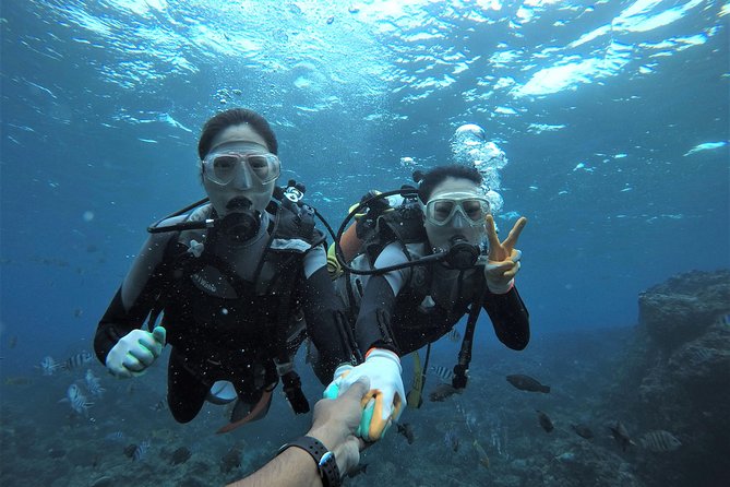 Blue Cave Experience Diving! [Okinawa Prefecture] Feeding & Photo Image Free! English, Chinese Guide Available! 1 Group With a Dedicated Instructor - Key Points