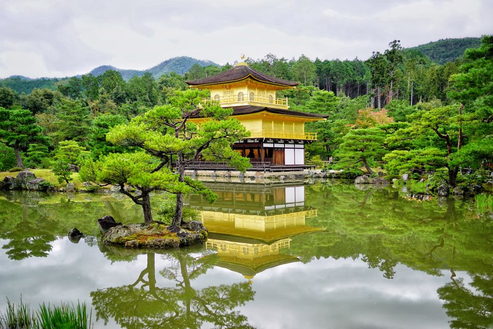 From Osaka or Kyoto: Kyoto & Nara 1 Day Bus Tour - Good To Know