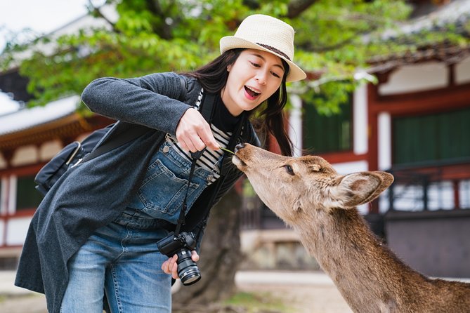 Full Day Excursion: Kyoto and Nara Highlights From Kyoto/Osaka - Key Points