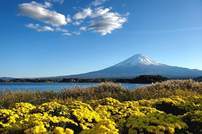 Full Day Mount Fuji Private Tour With English Speaking Guide - Key Points