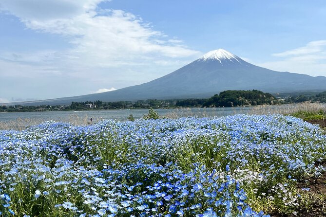 Full Day Private Tour to Mount Fuji and Hakone - Tour Overview