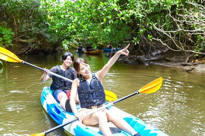 [Iriomote]SUP/Canoe Tour at Mangrove Forest+Splash Canyoning!! - Key Points