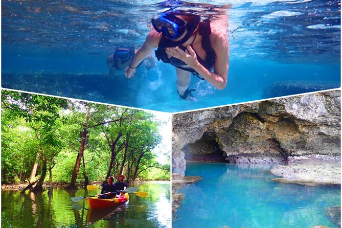 [Ishigaki]Mangrove SUP/Canoe + Blue Cave Snorkeling - Key Points