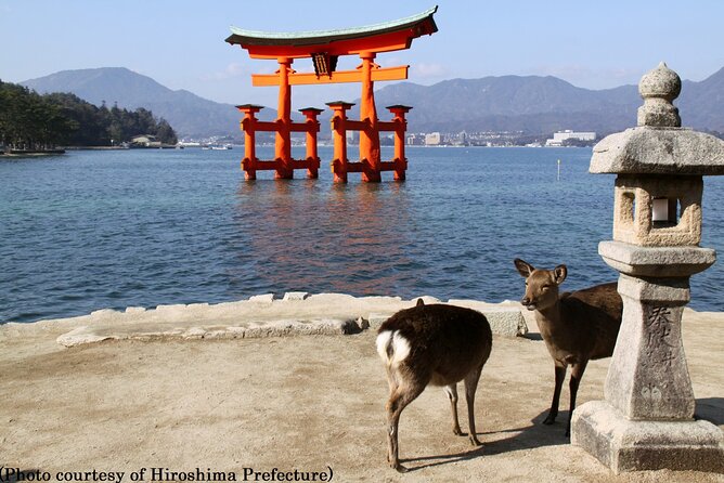 Kyoto Departure Day Hiroshima & Miyajima Tour Tour Itinerary