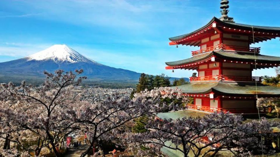 Mount Fuji Full Day Private Tour in English Speaking Guide - Good To Know