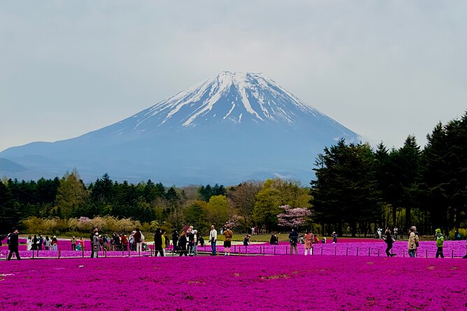 Mt. Fuji & Lake Kawaguchiko Private 1 Day Tour With Pick & Drop - Key Points