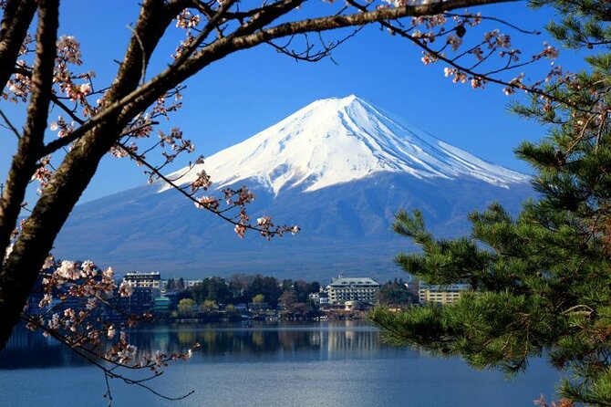 Mt.Fuji, Oishi Park & Arakurayama Sengen Park Bus Tour From Tokyo - Key Points