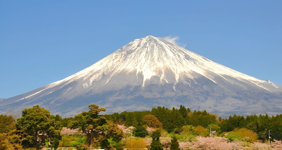 Private Full-Day Tour From Tokyo to Mount Fuji and Hakone - Good To Know