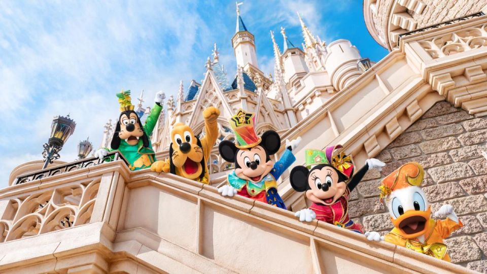 Tokyo Disneyland/DisneySea Entry Pass & Shared Transfer - Good To Know