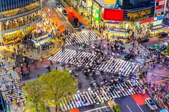 Tokyo: Shibuya Highlights Walking Tour - Key Points