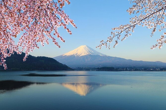 Tour Around Mount Fuji Group From 2 People ¥32,000 - Key Points
