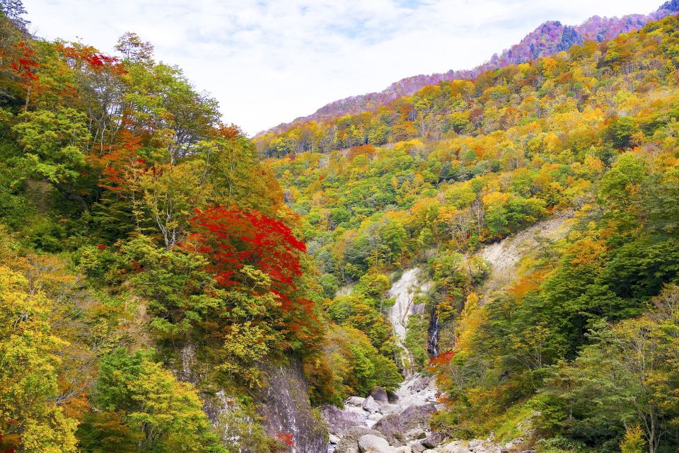 Welcome to Nagano: Private Tour With a Local - Good To Know
